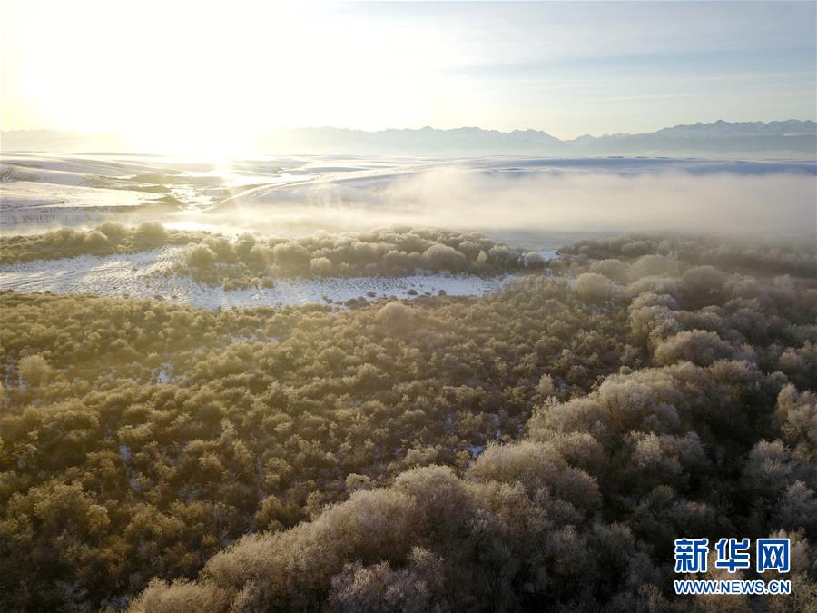 12월 13일 드론으로 촬영한 신장 자오쑤 국가습지공원의 상고대 경관 [사진 출처: 신화망]