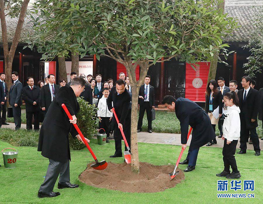 3국 지도자가 계수나무를 심고 흙을 뿌리고 물을 주고 있다. [사진 출처: 신화망]