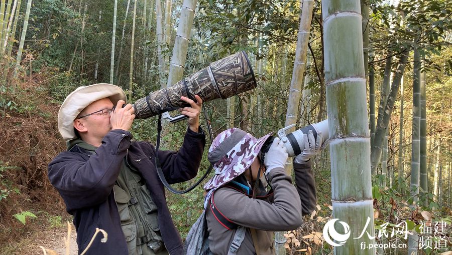 샤먼대학교 환경생태학부 교수와 학생이 우이산 국가공원 내 조류를  포착하고 있다. [사진 출처: 인민망]