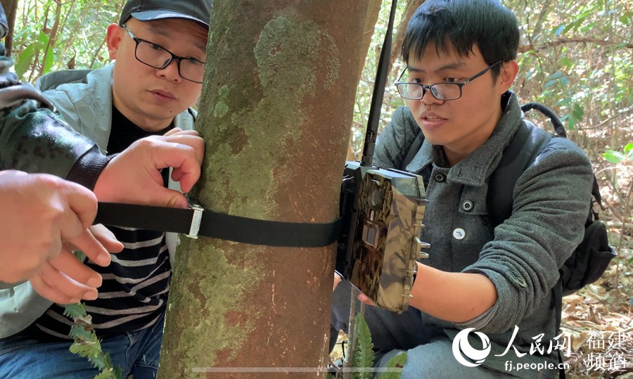탐사팀은 우이산 국가공원 내에 새로운 적외선 카메라를 설치하고 있다. [사진 출처: 인민망]