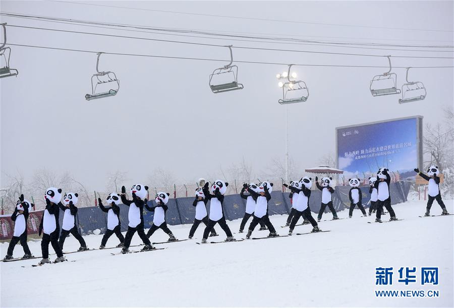 판다 옷차림의 직원들이 스키를 타고 코스를 내려가고 있다. [12월 24일 촬영/사진 출처: 신화망]