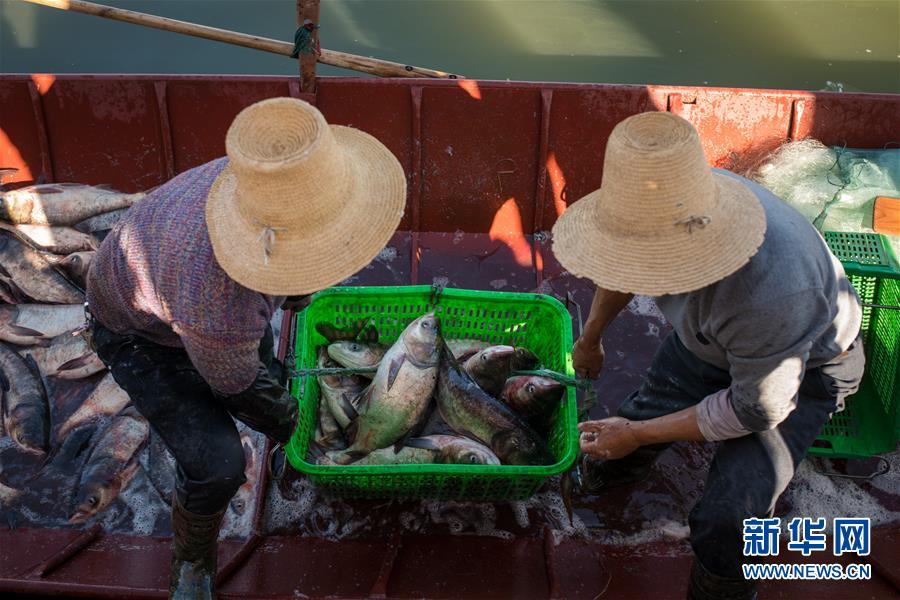 싱윈호 인근 어시장, 어부들이 갓 잡은 고기를 육지로 운반한다. [2019년 12월 25일 촬영/사진 출처: 신화망]