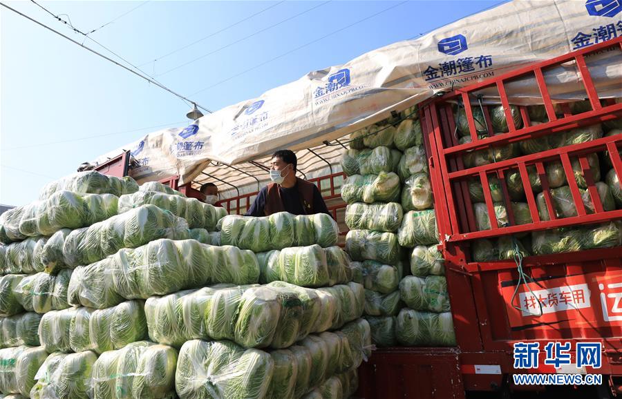 도매상이 지난 2일 상하이 훙차오 야채도매시장 트럭에서 배추를 내리고 있다. [사진 출처: 신화망]