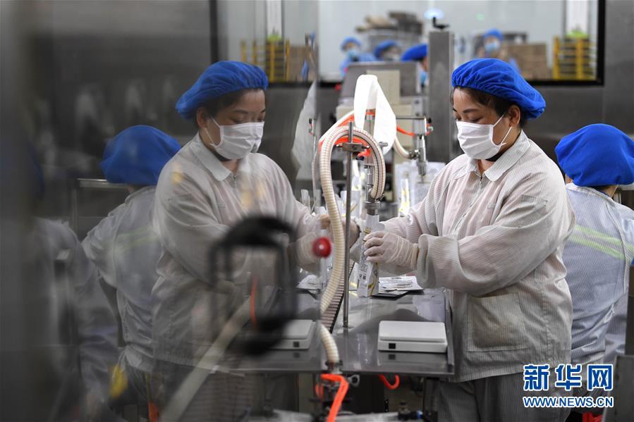 지난 13일 안후이성 페이시현 쯔펑진 생산공장 생산 라인에서 직원들이 분주히 일하고 있다.  [사진 출처: 신화망]