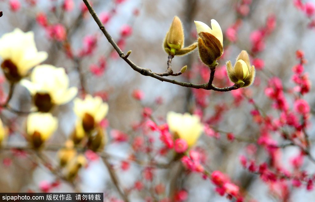 [사진 출처: Sipaphoto]