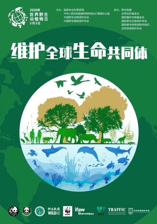3월 3일, 유엔 지정 ‘세계 야생동식물의 날’