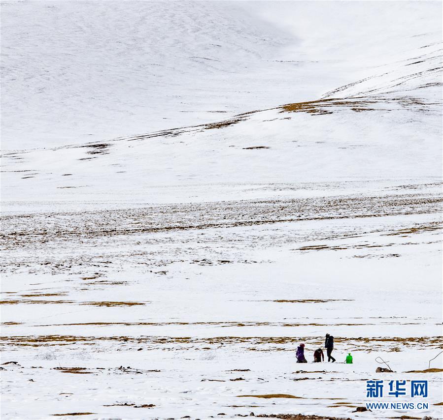 시짱 유목민들이 당슝현 초원에서 얼음을 깨어 물을 담고 있다. [3월 1일 촬영/사진 출처: 신화망]
