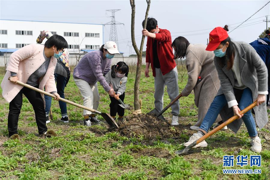 후저우시 난쉰구 스충진 지원자와 어린이가 나무를 심고 있다. [사진 출처: 신화망]