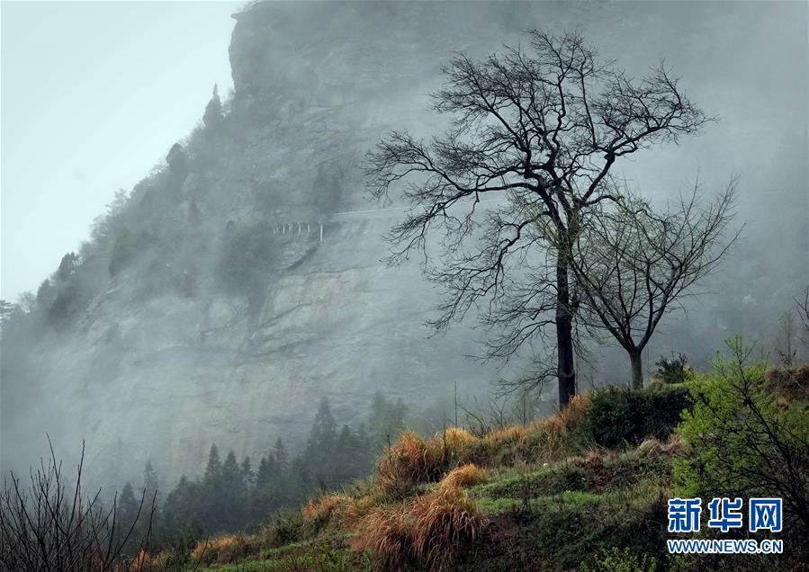 운무가 감도는 황바이산 국가삼림공원 풍경 [3월 29일 촬영/사진 출처: 신화망]