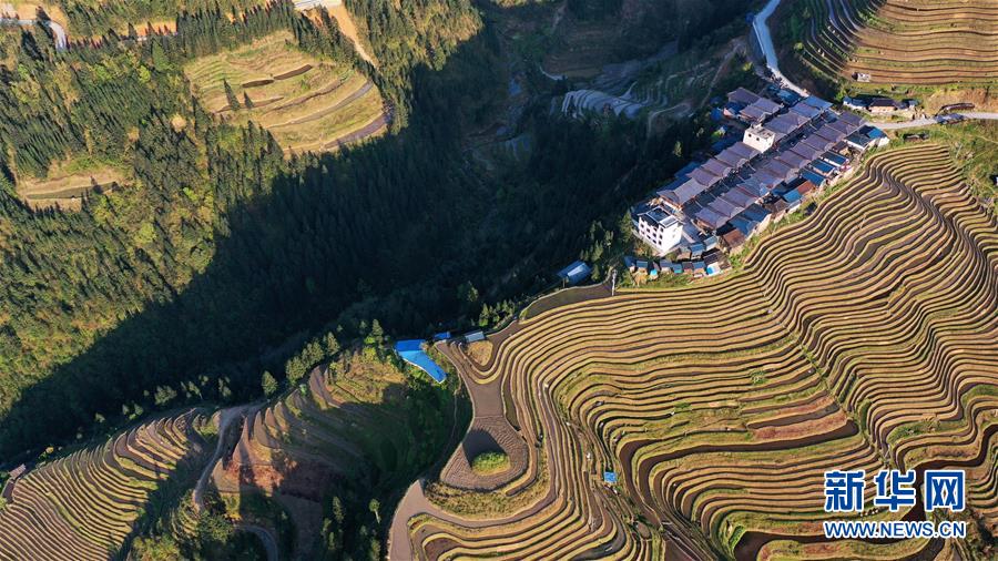 구이저우성 충장현 자몐향 볘퉁촌 계단식 밭과 묘족 마을 [3월 31일 드론 촬영/사진 출처: 신화망]