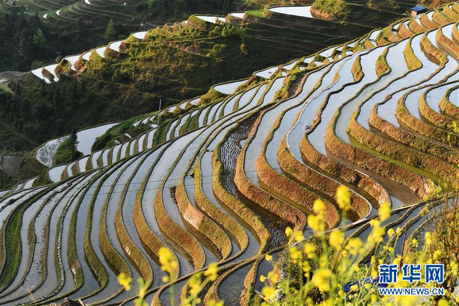 구이저우성 충장현 자몐향 볘퉁촌 계단식 밭 [3월 31일 촬영/사진 출처: 신화망]