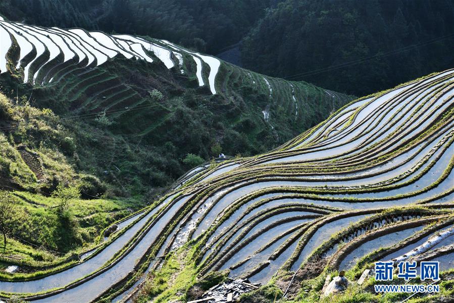 구이저우성 충장현 자몐향 볘퉁촌 계단식 밭 [3월 31일 촬영/사진 출처: 신화망]