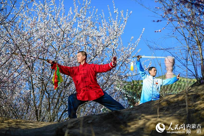 만두하이공원 벚꽃 아래에서 시민들은 태극도와 태극검을 연마하고 있다. [사진 출처: 인민망]