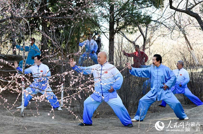 만두하이공원 벚꽃 아래에서 시민들은 태극권으로 심신을 단련 중이다. [사진 출처: 인민망]