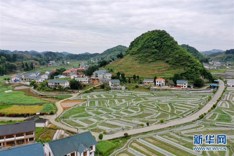 구이저우성 쭌이시 보저우구 펑샹진 교외 농촌 [4월 13일 드론 촬영/사진 출처: 신화망]