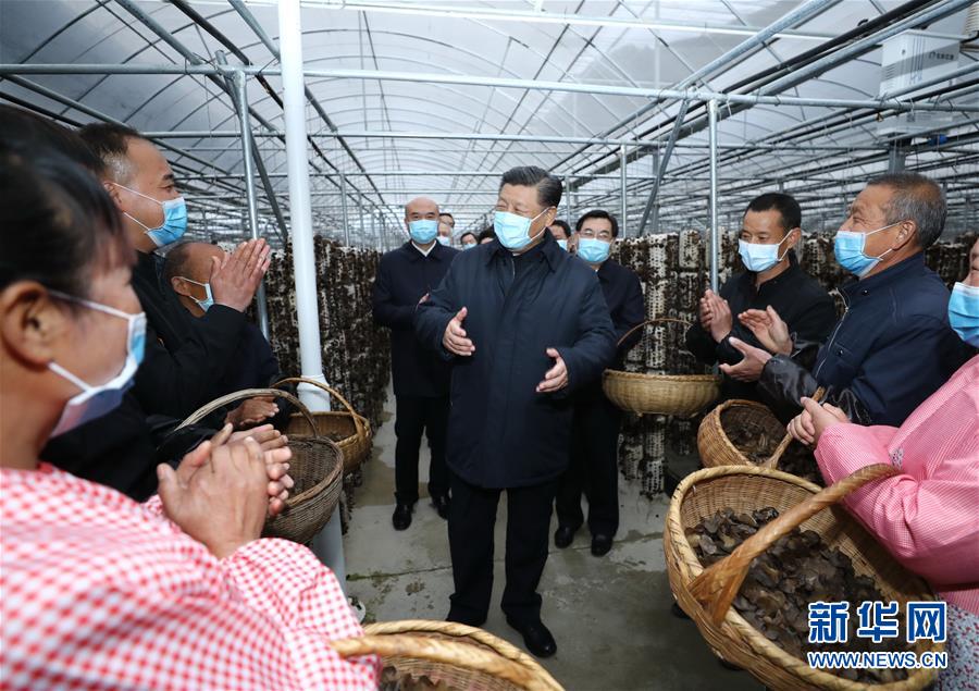 시진핑이 상뤄시 자수이현 샤오링진 진미촌에서 탈빈곤 사업 진척 상황을 살펴보고 있다. [사진 출처: 신화망]