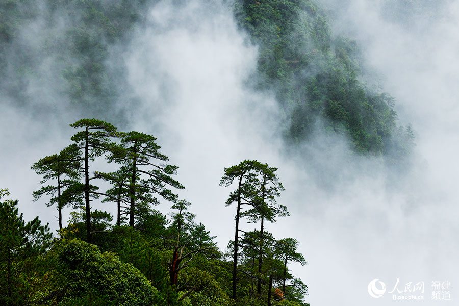 우이산국가공원 자연경관 [사진 출처: 인민망]