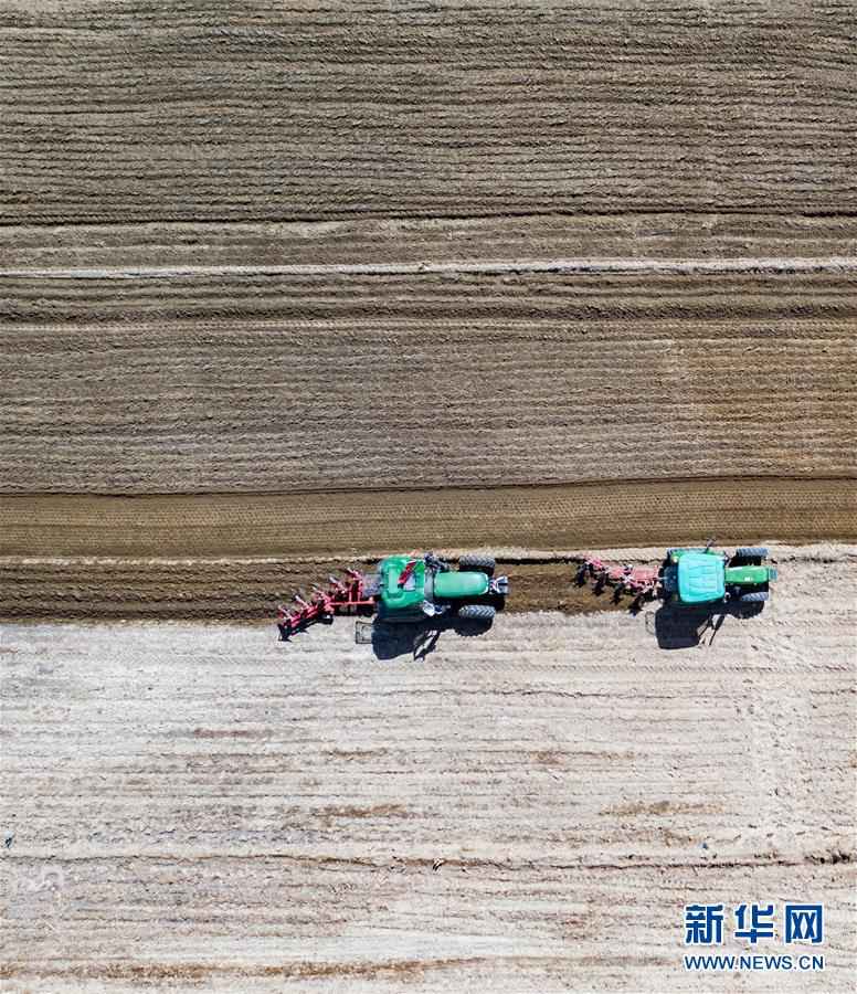 시짱 라싸시 취수이현 차바랑촌 농민들이 현대화 농업 설비를 이용해 ‘짱칭 2000’을 파종하고 있다. [4월 22일 드론 촬영/사진 출처: 신화망]