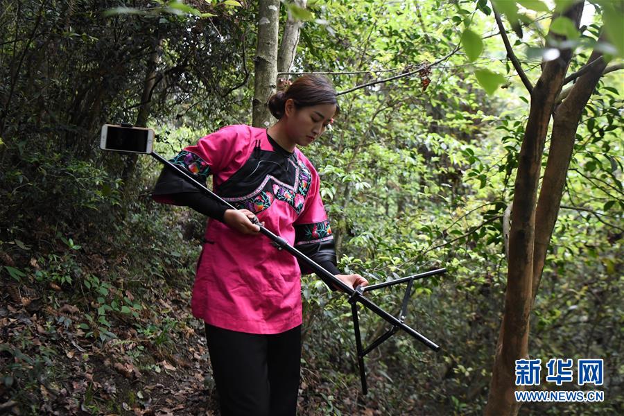스린자오가 스바둥촌의 산속에서 핸드폰 삼각대를 가지고 나무하는 모습 촬영 준비를 하고 있다. [4월 23일 촬영/사진 출처: 신화망]  