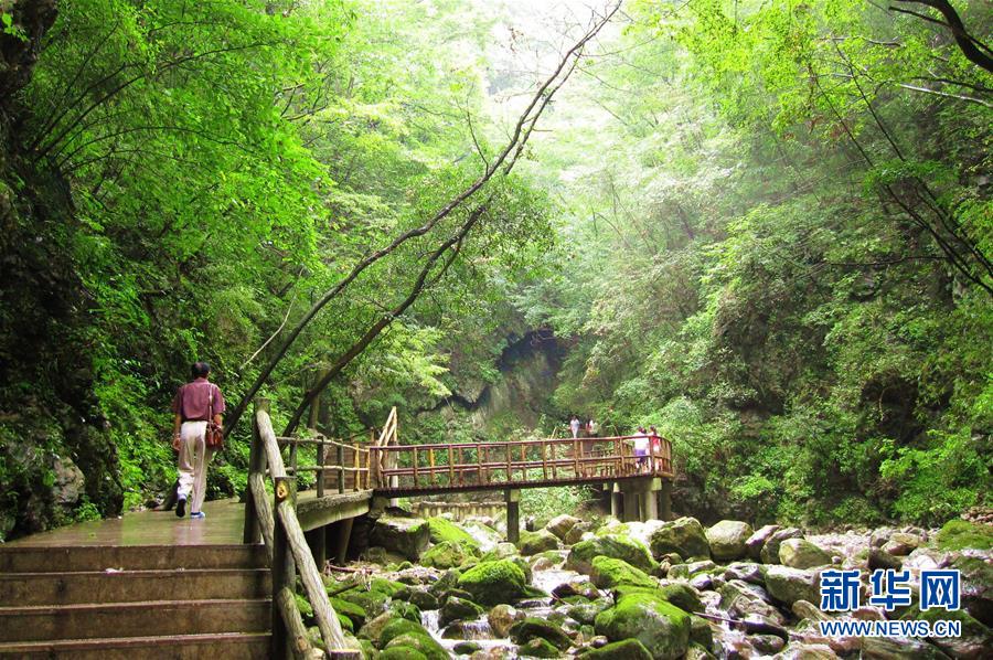 산시 뉴베이량(牛背梁) 국가삼림공원이 정식으로 개장해 손님을 맞이하고 있다. [2010년 8월 19일 촬영/사진 출처: 신화망]