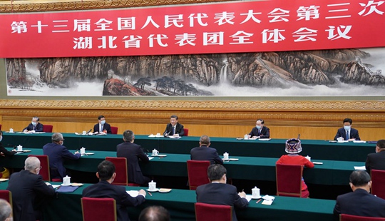 시진핑, 후베이 대표단 심의 참석