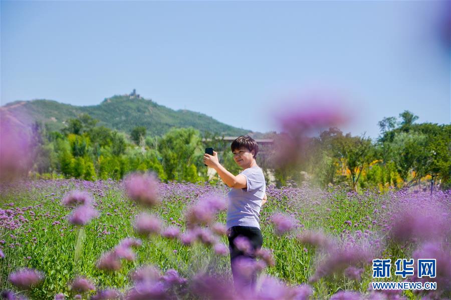 관광객이 허베이성 한단시 충타이구 쯔산산 생태함양구에서 유람하고 있다. [6월 14일 촬영/사진 출처: 신화망]