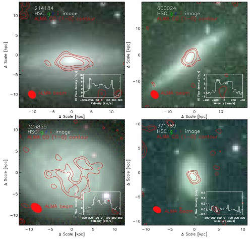 FAST가 관측한 은하 4개의 페이크(fake) 칼라 광학 이미지 [사진 출처: 중국과학원 국가천문대 제공]