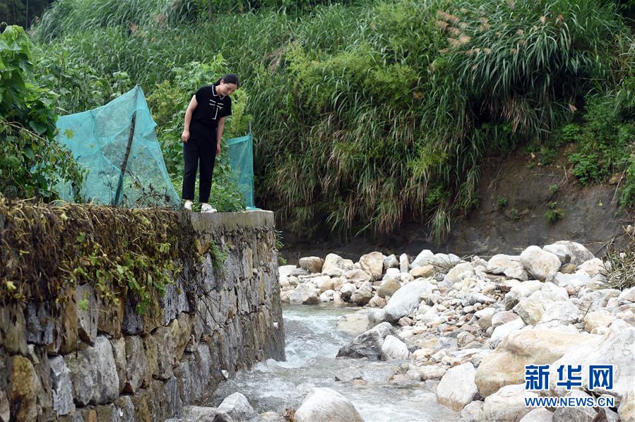 안후이성 웨시현 공산촌에서 왕롄이 마을 강둑을 살펴보고 있다. [6월 24일 촬영/사진 출처: 신화망]
