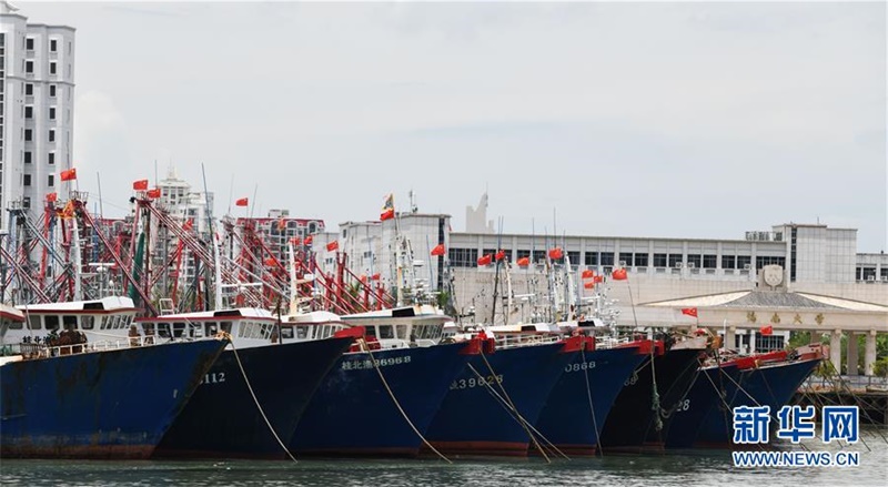 선박들이 하이커우시 신항 부두에 정박해 태풍을 피하고 있다. [8월 18일 촬영/사진 출처: 신화망]