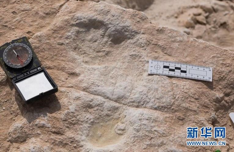 고고학자들이 발견한 12만여 년 전 고대 인류 발자국 [사진 출처: 신화망/사우디 관광국가유산 위원회(SCTH) 제공]