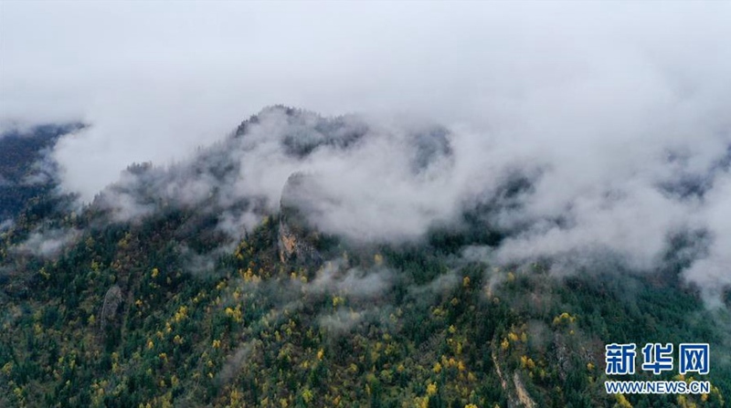 비 온 뒤 안개로 둘러싸인 자가나 풍경 [10월 13일 드론 촬영/사진 출처: 신화망]