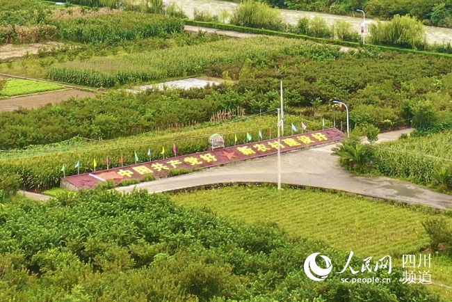 항공 촬영한 량산의 ‘화시(華西)촌’은 몐닝현 젠서(建設)촌이다. [사진 출처: 인민망]