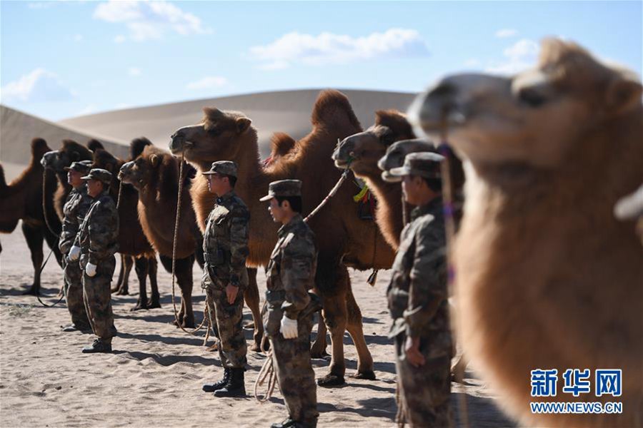낙타병들이 낙타를 응용한 훈련을 하고 있다. 사진 출처: 신화망]