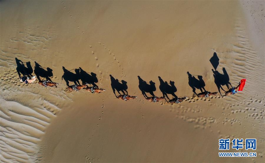 아라산유치 변방의 민병인 낙타병과 아라산 국경 관리 지대 민경, 현지 목민들이 낙타를 응용한 훈련을 하고 있다. [사진 출처: 신화망]