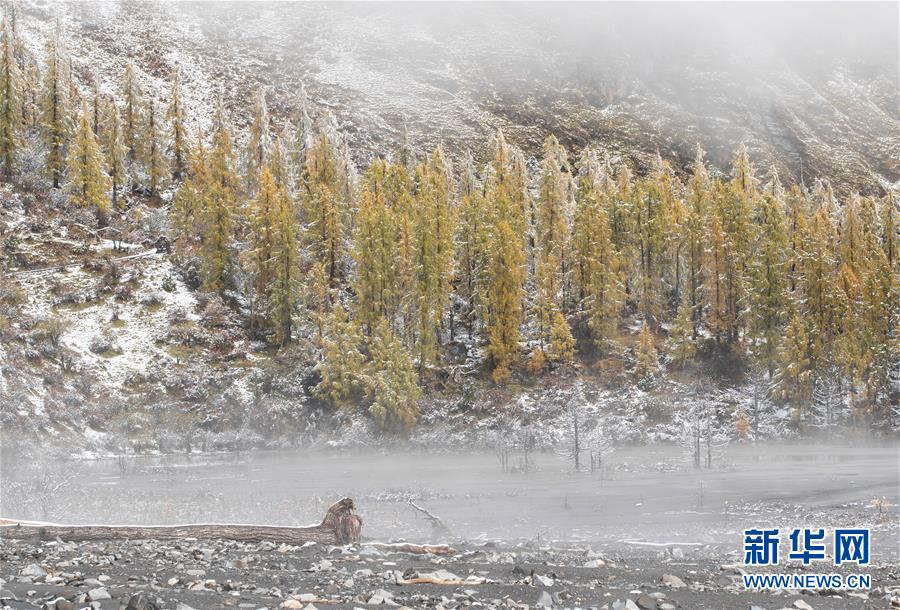 흰 눈과 안개로 덮인 알록달록한 숲 [10월 21일 촬영/사진 출처: 신화망]