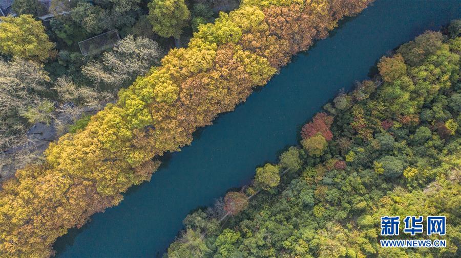 구이양시 화시국가도시습지공원 황금대도 풍경 [10월 24일 드론 촬영/사진 출처: 신화망]