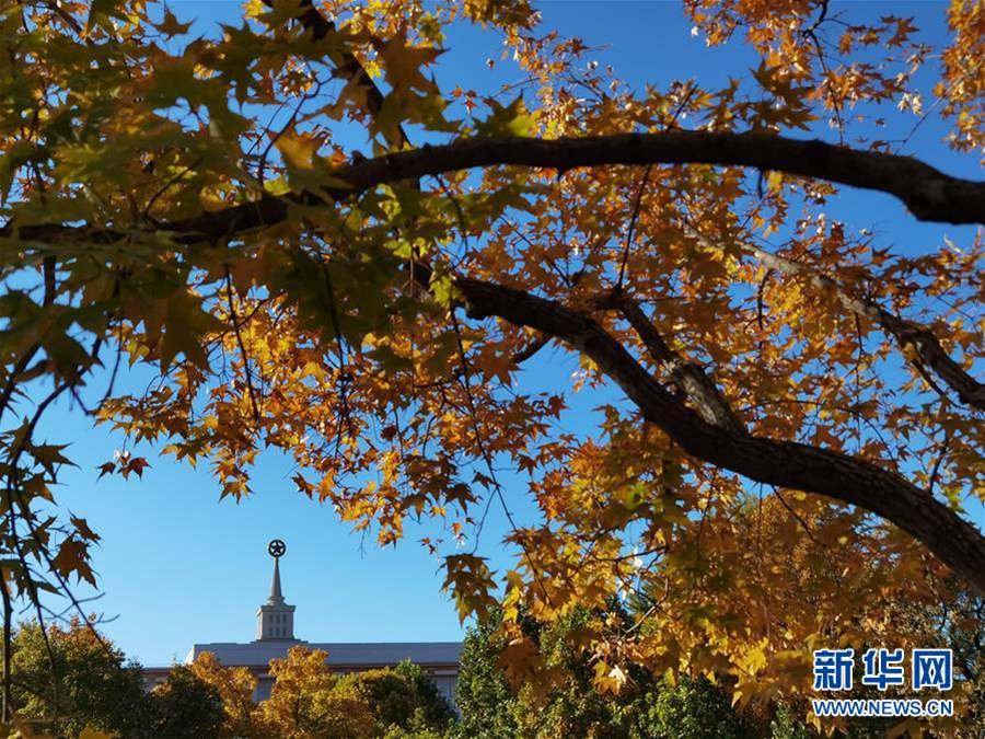 베이징 중국인민혁명군사박물관 근처의 가을 풍경 [10월 23일 촬영/사진 출처: 신화망]