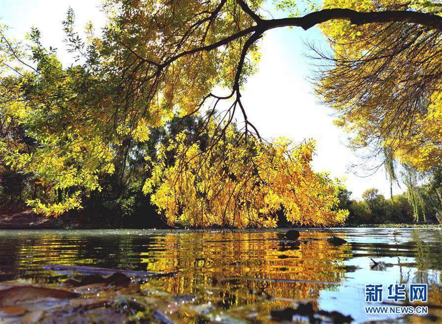 베이징 올림픽공원 가을 풍경 [10월 22일 촬영/사진 출처: 신화망]