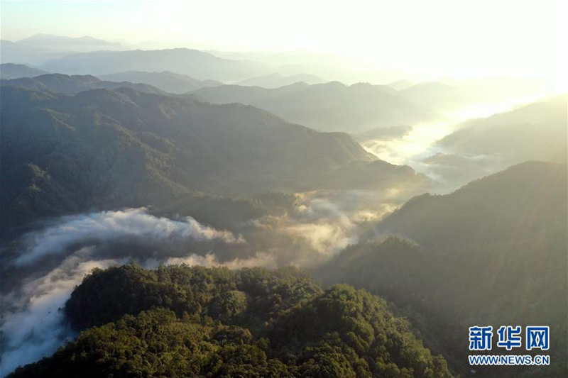 매화산 자연보호구 산림의 경관 [11월 5일 드론 촬영/사진 출처: 신화망]