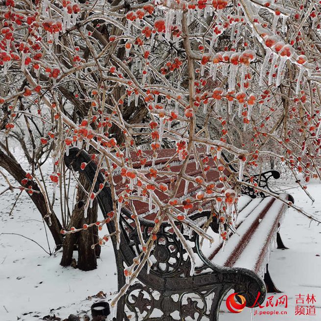 11월 19일, 지린 장춘(長春)에 폭설이 내렸다. [사진 출처: 인민망]