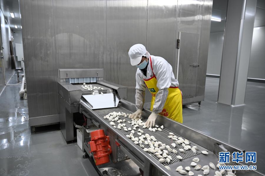 11월 18일 사현 먹거리 산업단지의 한 기업 직원이 찐만두를 생산한다. [사진 출처: 신화망]