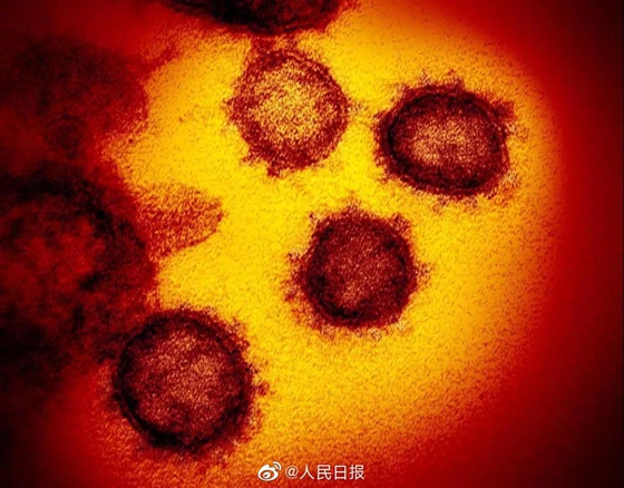 변종 코로나 바이러스 확산…바이러스는 왜 ‘선두를 다툴까’?