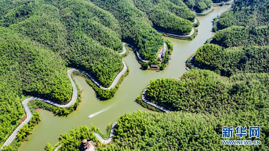 츠수이주하이(赤水竹海)국가삼림공원 [2020년 6월 25일 드론 촬영/사진 출처: 신화망]