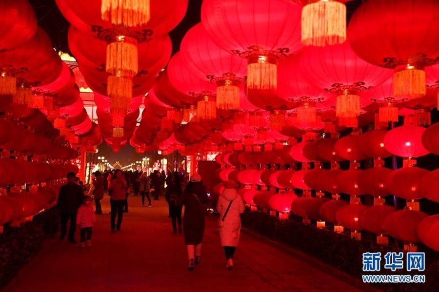 베이징 난궁우저우식물원에서 촬영한 덩룽(燈籠) [사진 출처: 신화망]