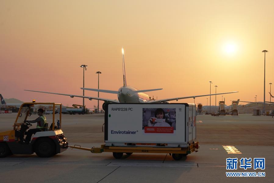 2월 19일, 홍콩 국제공항, 백신이 실린 상자를 하역해 지정 장소로 옮겨 보관한다.  [사진 출처: 신화망]