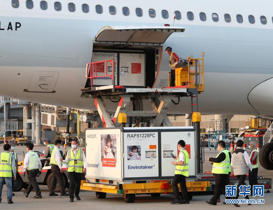 2월 19일, 홍콩국제공항, 시노백 백신이 실린 상자를 하역해 지정 장소로 옮겨 보관한다. [사진 출처: 신화망]