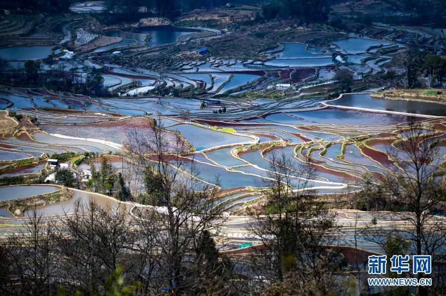 하니 다랭이논 풍경 [2월 24일 드론 촬영/사진 출처: 신화망]