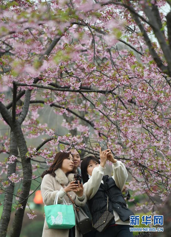 관광객들이 우한 둥후 벚꽃공원을 찾았다. [3월 3일 촬영/사진 출처: 신화망]
