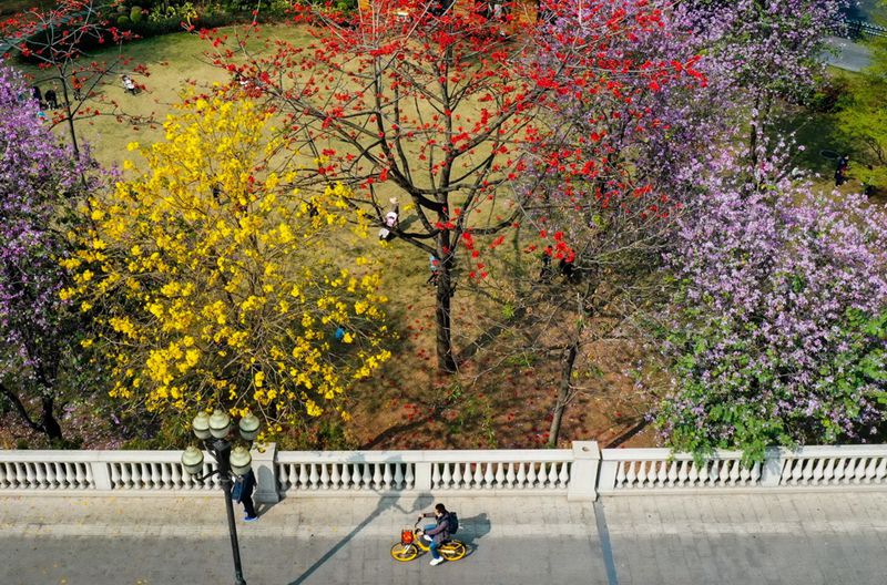시민이 광저우대교의 자전거 도로에서 자전거를 타고 있다. [3월 2일 드론 촬영/사진 출처: 신화사]