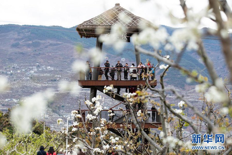 관광객들이 팅펑러우(聽風樓)에 올라 배꽃을 감상하고 있다. [3월 6일 촬영/사진 출처: 신화망]